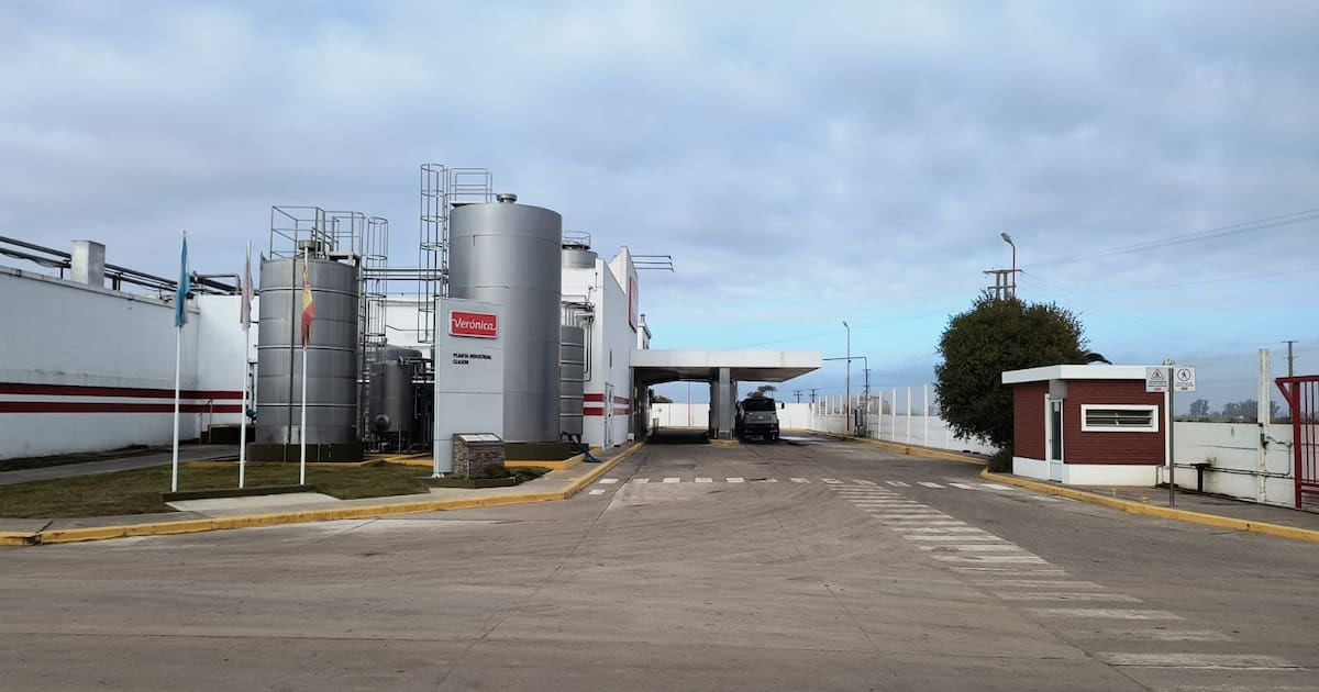 Verónica avanza con la cesión de dos plantas y el traspaso de 225 puestos para reducir un pasivo que supera los 118.000 millones de pesos