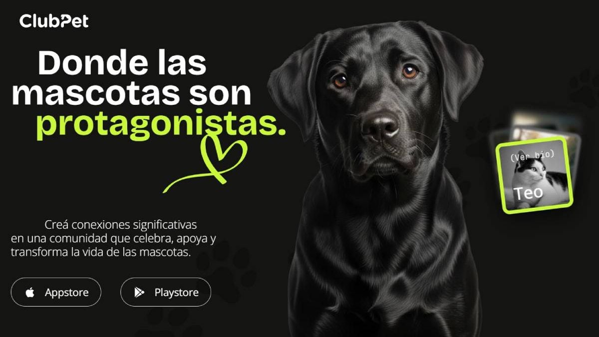 El Club Pacífico abre sus puertas para adoptar perros y gatos y suma una app gratuita que reúne todo el cuidado de las mascotas en un solo lugar