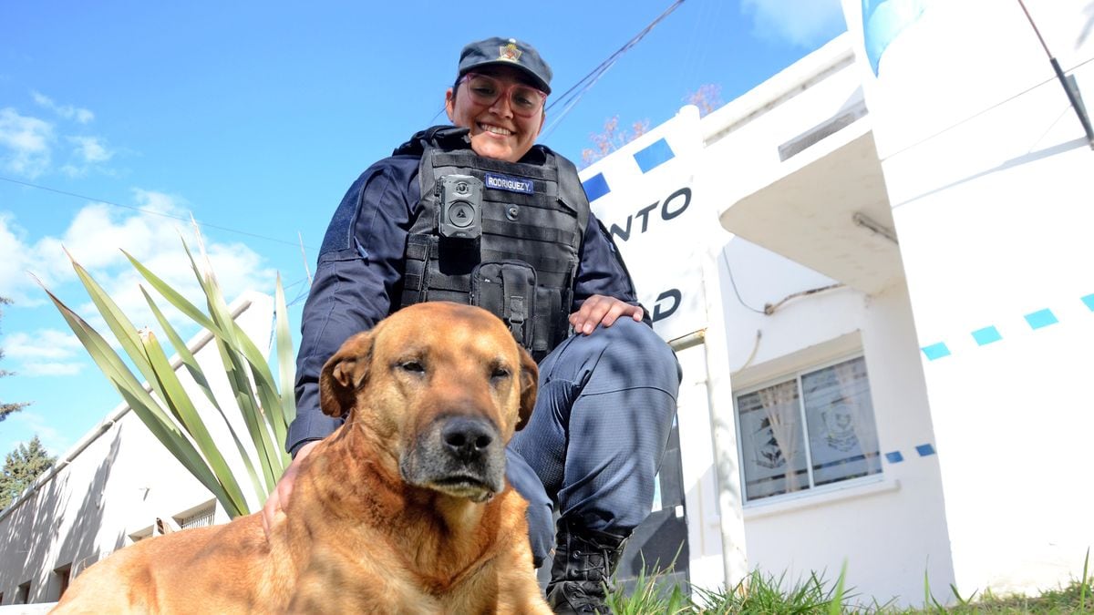 Puchero, el perro que eligió ser policía en Neuquén y cumple más de una década patrullando las calles junto a los bicipolicías
