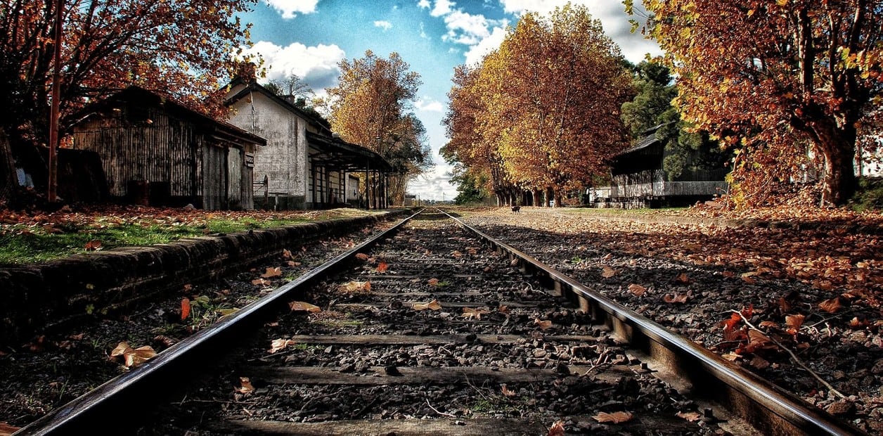Pardo celebra 150 años: un rincón rural del interior bonaerense con pasado ferroviario y huella literaria