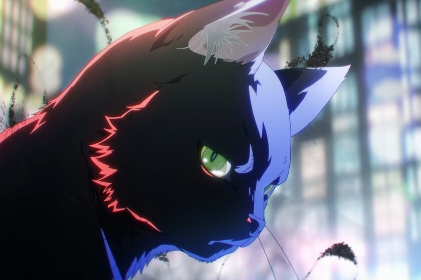 Black Torch: un anime breve que apuesta por la dupla improbable
