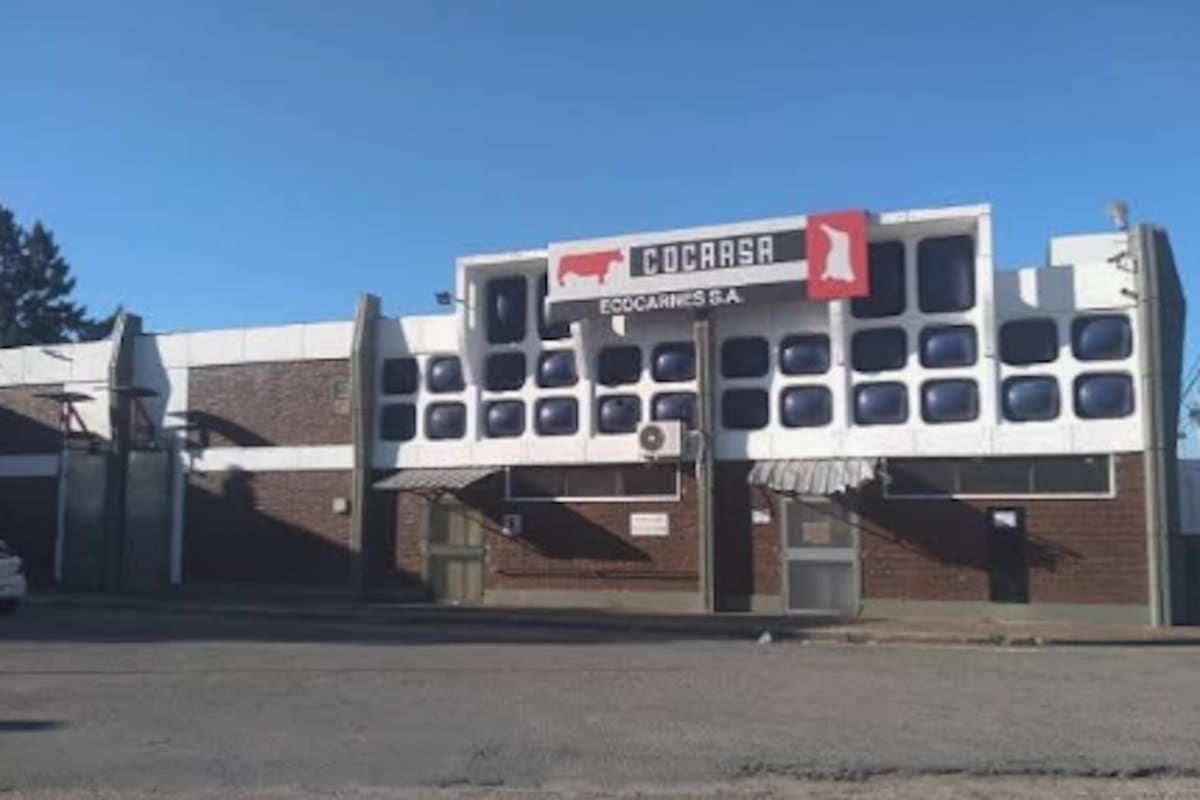 Ecocarnes: trabajadores de San Fernando reclaman por la obra social y la defensa del salario ante una planta que faena a un tercio de su capacidad