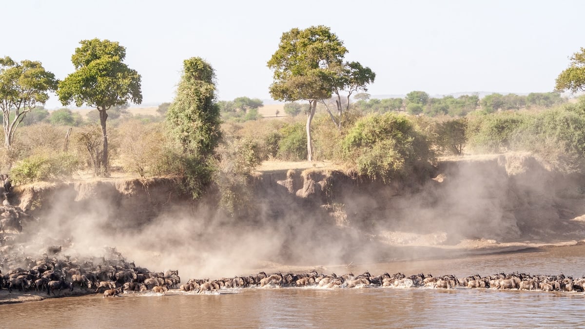 Tanzania en tres parques y dos comunidades: cómo se arma un safari de norte a sur