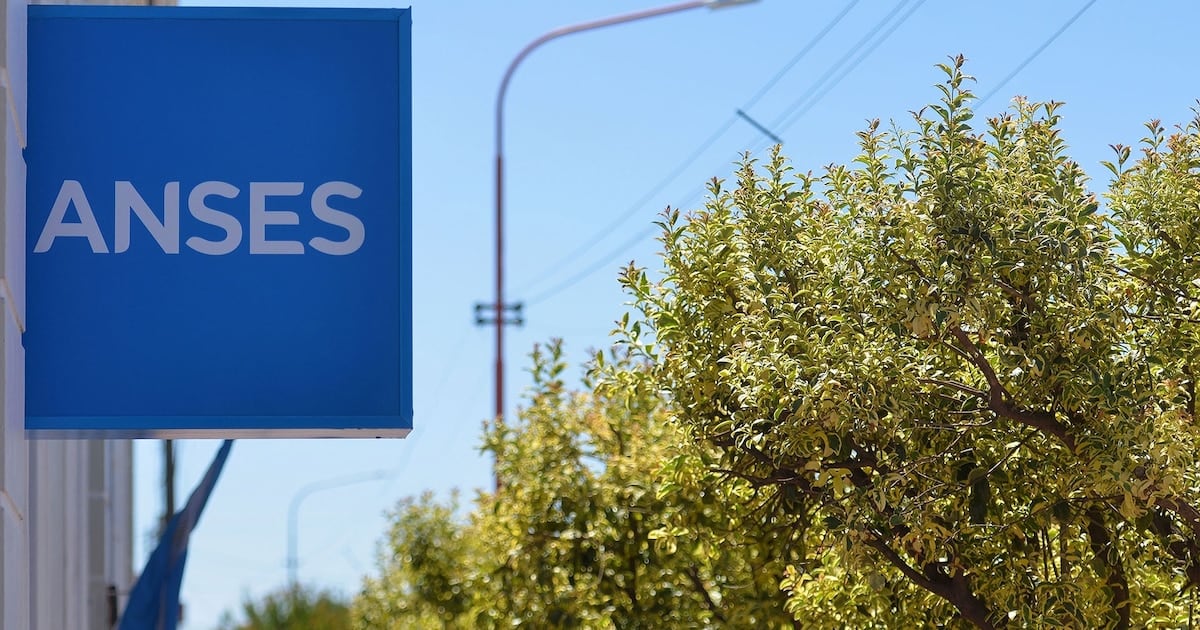Octubre 2026: ANSES confirma el cronograma completo para DNI terminados en 2