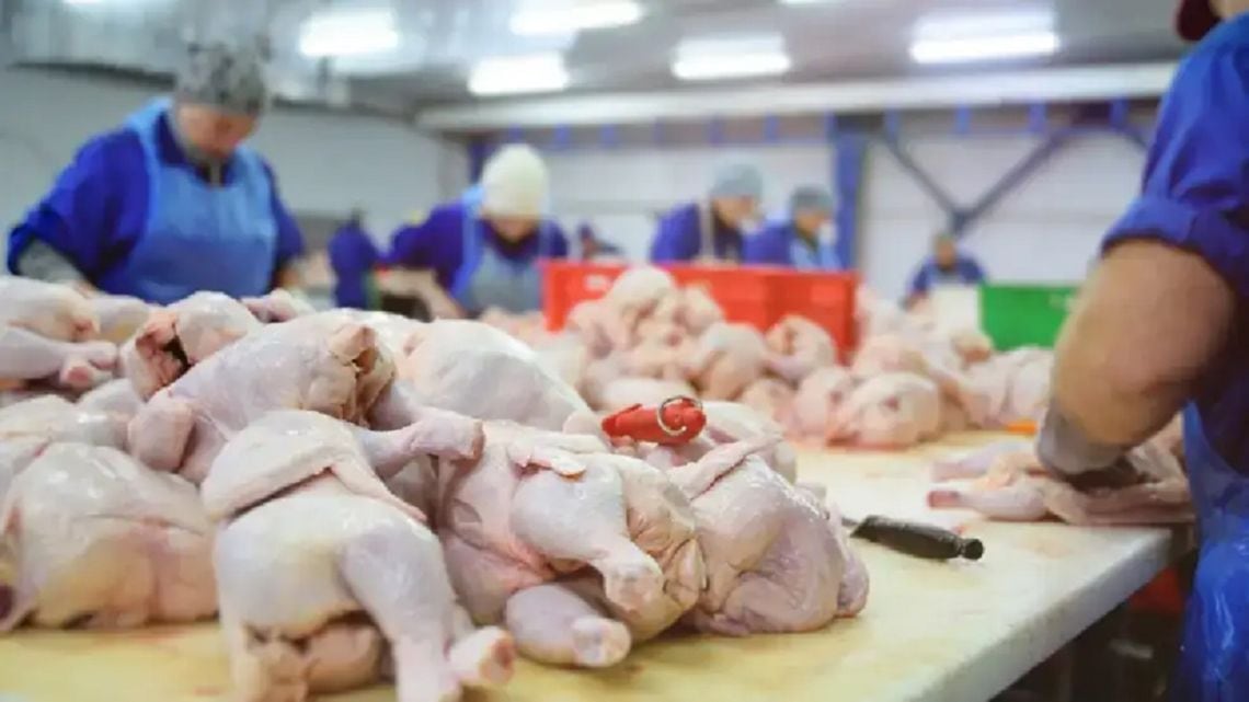 El pollo desplazó a la carne vacuna del primer puesto en la mesa de los hogares argentinos