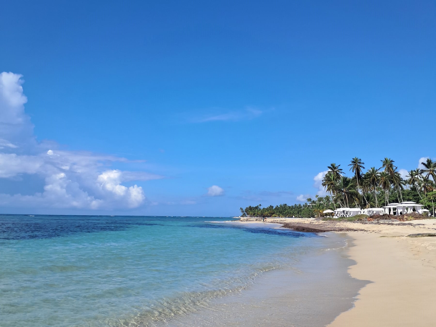 Caribe a la vista: los tres lugares de República Dominicana que ya eligió medio país y que un argentino todavía no termina de explorar