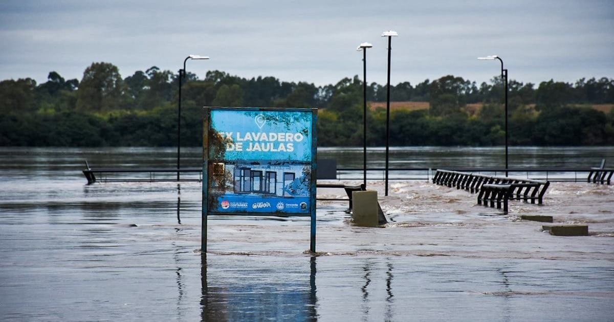 El Niño empuja los precios de la carne hacia las Fiestas y ofrece una tregua en la energía eléctrica