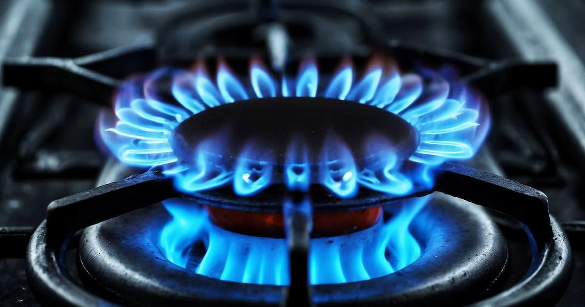 Gas en zonas frías: cómo se aplican las bonificaciones y qué usuarios pueden recibirlas